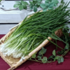 珠蔥(限冷藏宅配)