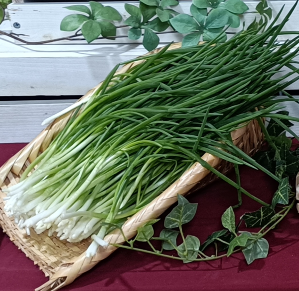 珠蔥(限冷藏宅配)